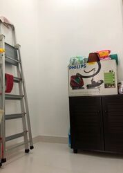 Ascentia Sky (D3), Condominium #582153581